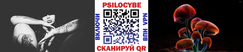 Галлюциногенные грибы Cubensis  darknet как зайти  Ленинск-Кузнецкий  kraken ТОР 