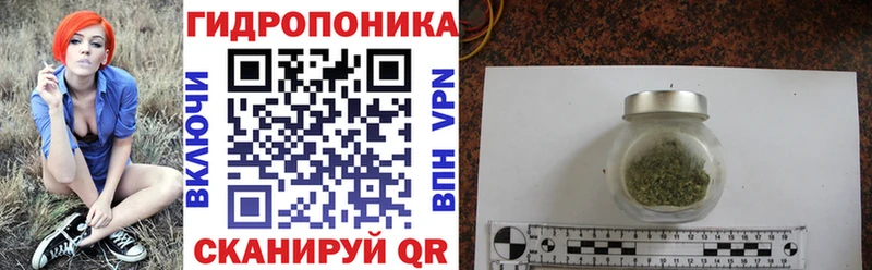 mega как зайти Ленинск-Кузнецкий Бошки марихуана Bruce Banner